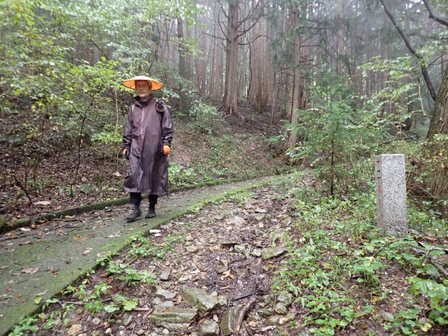 簑山神社の表参道を歩きました