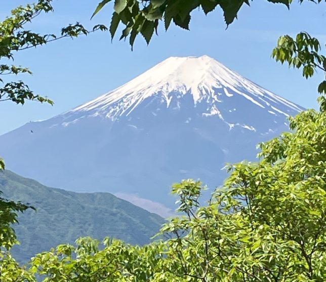 高川山から望む富士山
