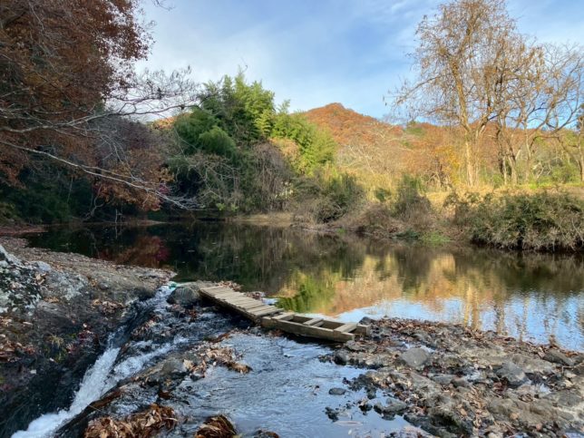 生瀬滝上流渡渉ポイント